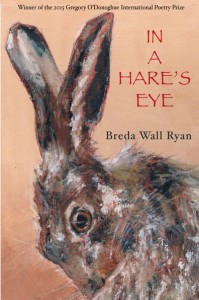In a Hare's Eye - Front Cover (4)